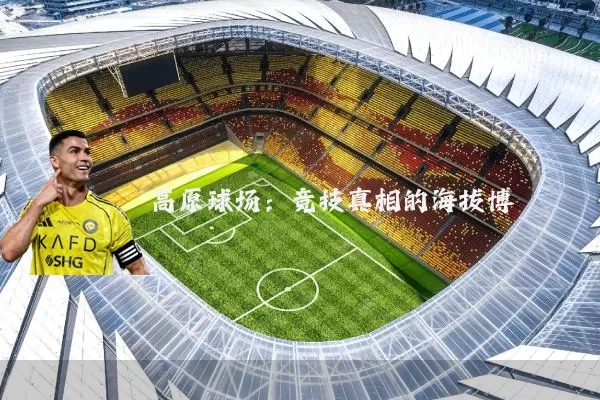 高原球场：竞技真相的海拔博弈